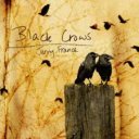 Black Crows