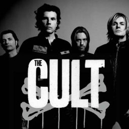 The Cult